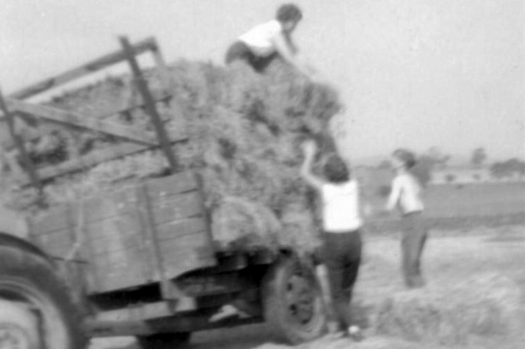 Haymaking 2.jpg - Loading the hay Jean Wilkinson is on the trailer, Shiela Glossop is loading, assisted by Chris Moorby. Taken at the meadow immediately before Cow Bridge.